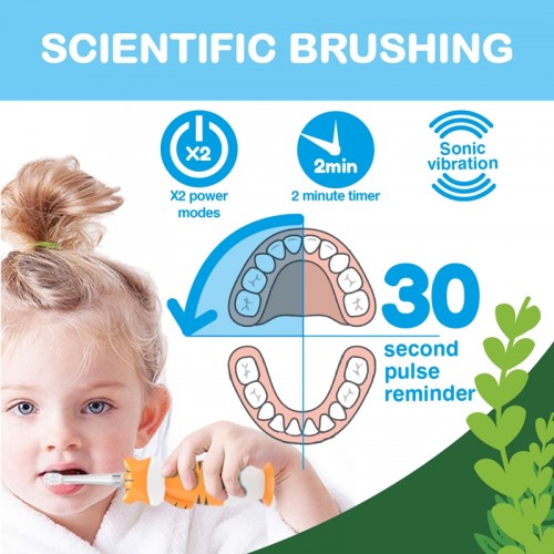Brush-baby WildOnes Kylie Koala Rechargeable Sonic  Electric Toothbrush (0-10 year old) 2 years warranty